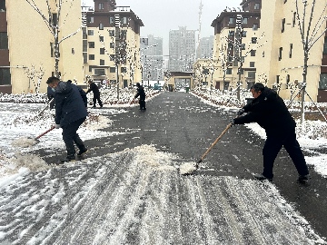 【長田動態(tài)】初雪至，暖意行！長田實業(yè)全力清雪保安全暢通